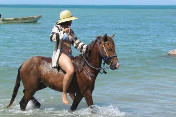Horseback Riding (Mountain & Beach)