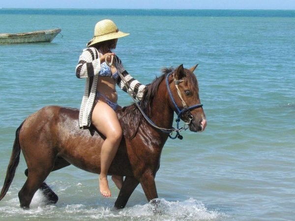 Horseback Riding (Mountain & Beach)